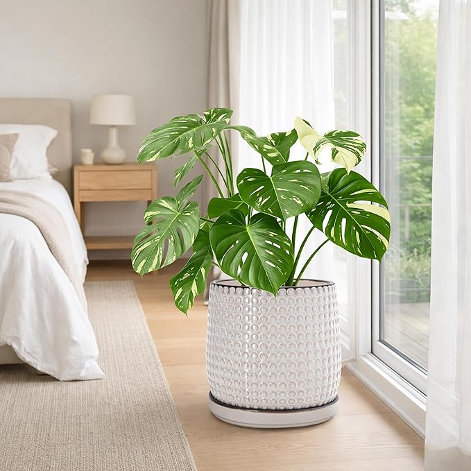 D'vine Dev 10 Inch Ceramic Beaded Stoneware Planter Pot - Flower Pot with Drainage Holes and Saucers for Indoor Succulent Plants or Flowers, Smoked White, 27-C-P-1