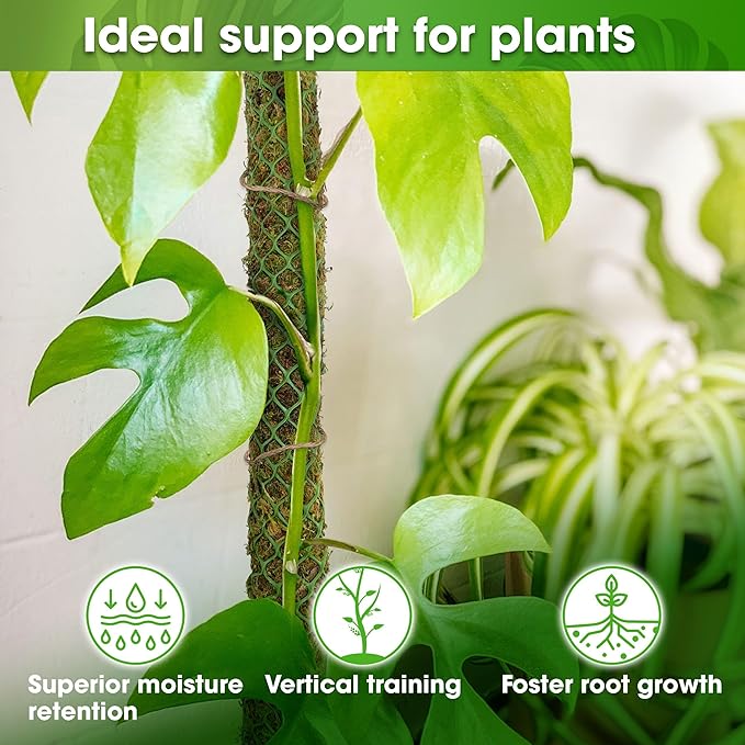 DUSPRO 42’’ Mesh Moss Pole for Climbing Plants, Natural Moss Pole Monstera Plant Support, Real Moss Poles for Plants Indoor, Moss Stick for House Plants, Moss Stakes for Climbing Plants