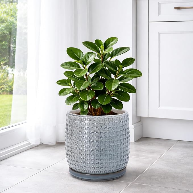 D'vine Dev 8 Inch Ceramic Beaded Stoneware Planter Pot - Flower Pot with Drainage Holes and Saucers for Indoor Succulent Plants or Flowers, Graphite Blue, 27-C-Q-9