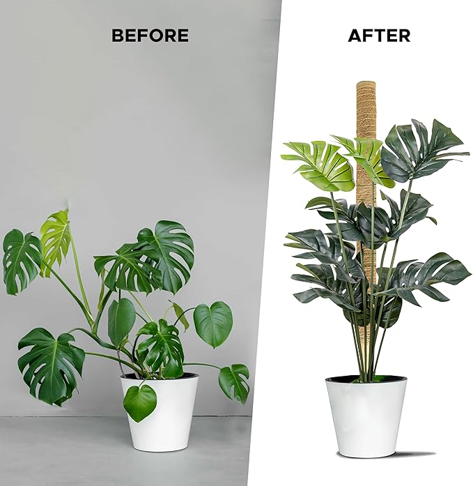 EcoNour 26.5" (2 Pack -16") Stackable Moss Pole for Monstera Plant Support | Moss Pole Sticks for Indoor Plants | Bamboo Plant Stakes,Climbing,Potted,Pothos| Philodendron & Creepers with Tie Accessory