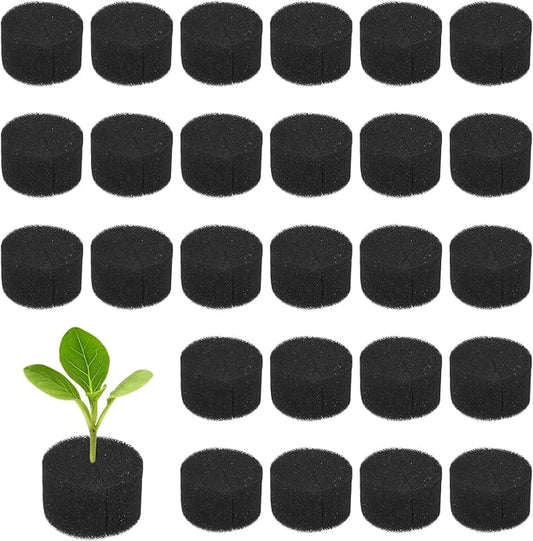 30-Pack Hydroponics Sponges, 1.77 Inch Growing Media Cylindrical Sponges for Planting Gardening Tool/Grow Seedlings/Home Vegetable Flower, Soilless Cultivation Seedling [Black]