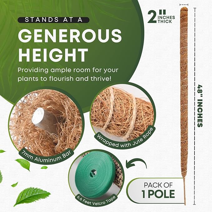 Auraville Moss Pole Monstera Plant Support | 48 Inch Plant Stakes for Indoor Plants | Coconut Palm Fiber Moss Poles for Climbing Plants | Handmade Plant Sticks Support Tall Monstera, Pothos & More