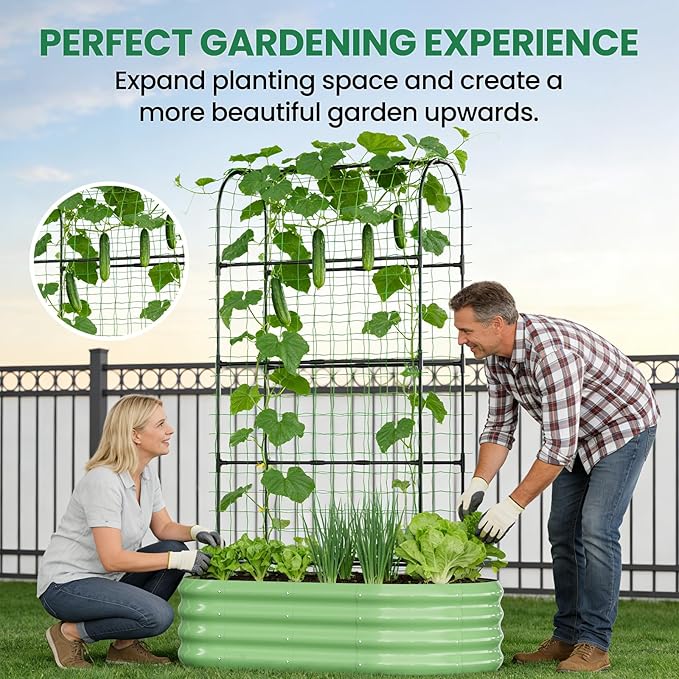 SUNYRISY 2Pack Galvanized Raised Garden Bed with 71in Arch Trellis for Climbing Plants, Outdoor Planter Box with Climbing Net for Gardening Flowers Vegetables Fruits Herbs, Green
