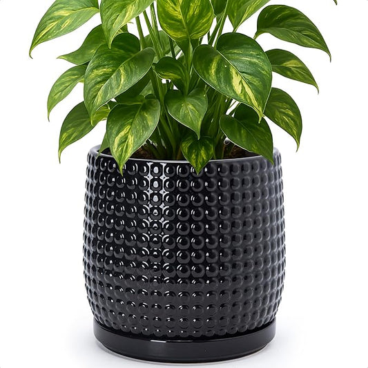 D'vine Dev 8 Inch Ceramic Beaded Stoneware Planter Pot - Flower Pot with Drainage Holes and Saucers for Indoor Succulent Plants or Flowers, Glossy Black, 27-C-Q-2