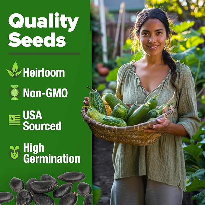 HOME GROWN Non GMO Luffa Seeds (Luffa aegyptiaca) 40 Heirloom Loofah Gourd Seeds for Planting High Germination Rate - Make Sponges or Harvest Young Loofahs for Eating