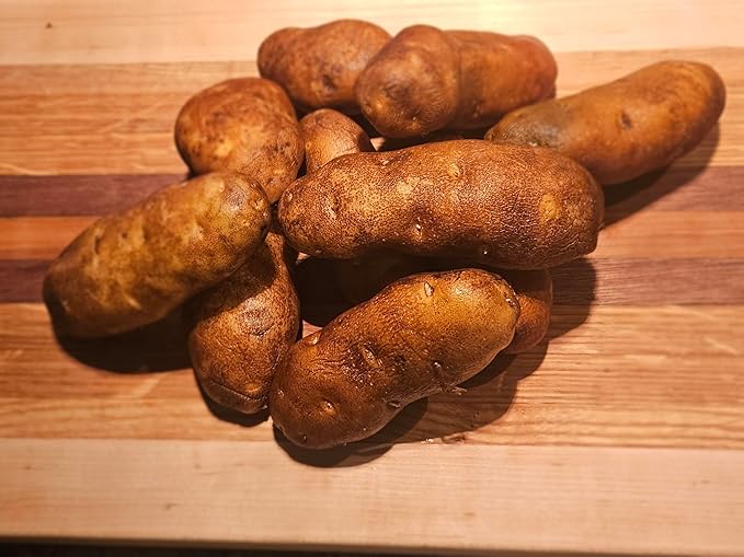 Idaho Russet Certified Potato Seed Real Whole Potatoes American Grown Non GMO Ready to Grow 3LBS