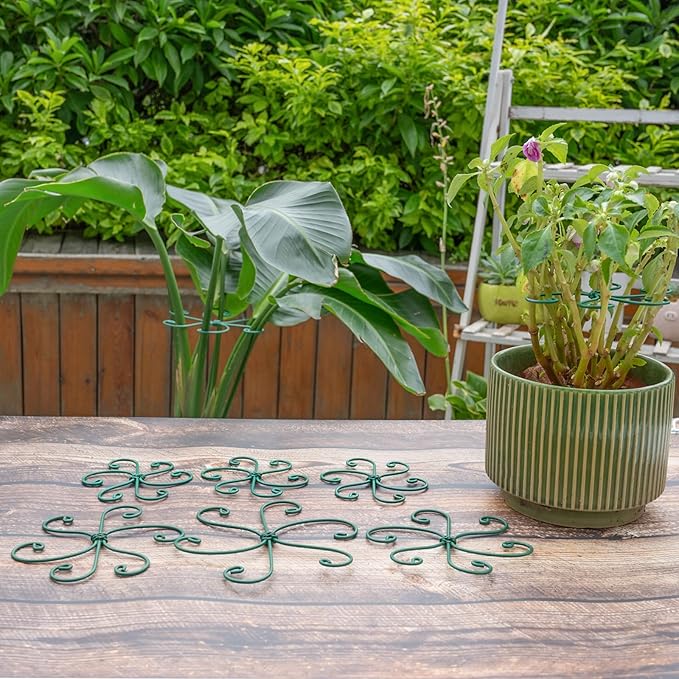 Yohsnor 5PCS Monstera Plant Support Hook - 4.1 * 4.4IN, Durable Flexible Stabilizers for Indoor Plants, Metal Stem Supports and Leaf Holders, Easy Tool-Free Operation, Ideal for Fishbone Cactus Care