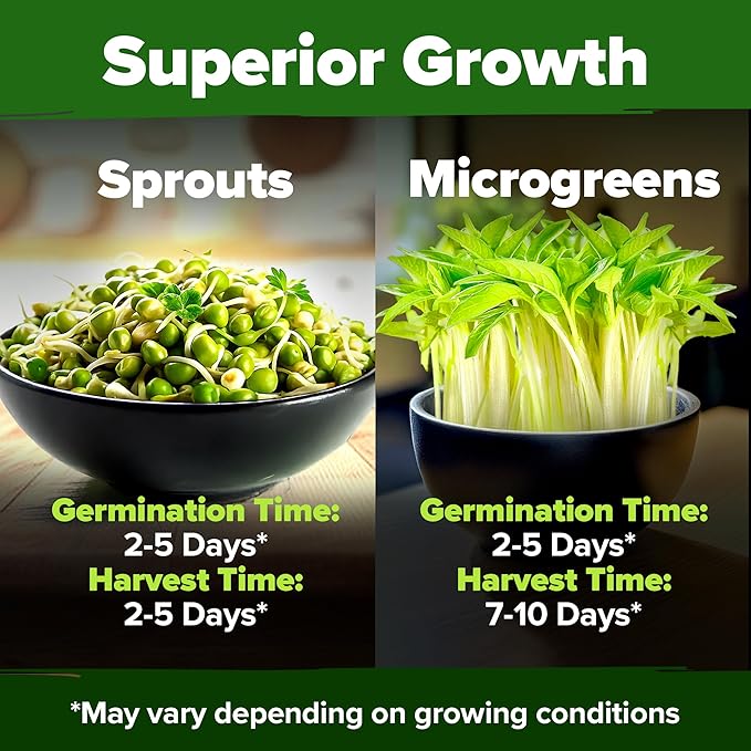 HOME GROWN Mung Beans Seeds Pack 1.5 lb Over 15,000 Sprouting Seeds Grow Fresh Mung Bean Sprouts or Microgreens for Quick, Easy, Nutrient-Packed Food for Your Daily Meals (Vigna Radiata)