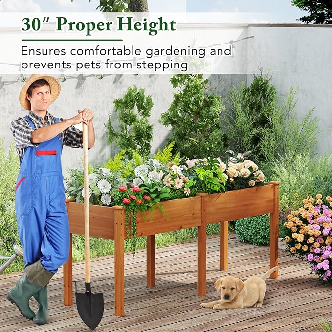 Raised Garden Bed with Legs, Elevated Planter Box with Divider & 8 Drainage Holes, Fir Wood Garden Box for Vegetables, Flowers, Fruits & Herbs (Brown Yellow)
