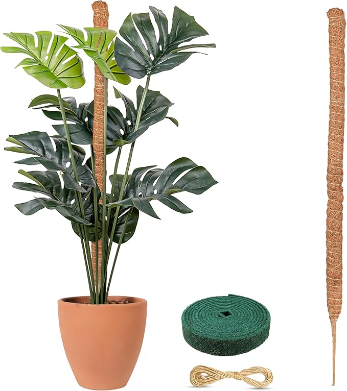 EcoNour Tall Moss Pole for Plants (1-Pack) 63-Inch | Large Monstera Plant Support for Climbing and Growth | Elevate Your Indoor Garden | Tall Plant Support for Indoor Potted Plants to Grow Upwards