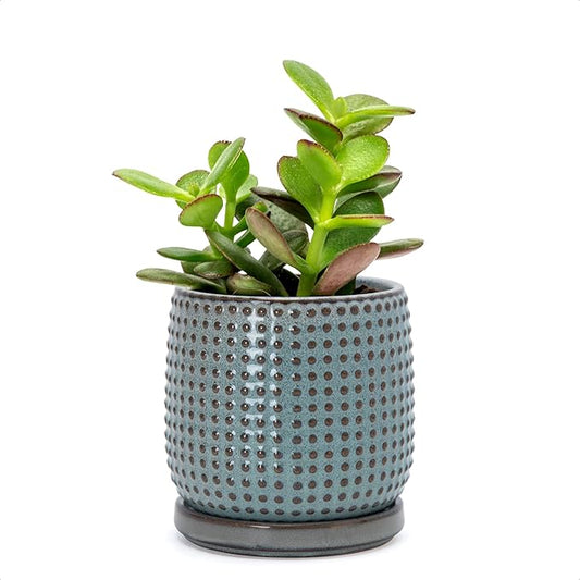 D'vine Dev 4 Inch Ceramic Beaded Stoneware Planter Pot - Flower Pot with Drainage Holes and Saucers for Indoor Succulent Plants or Flowers, Graphite Blue, 27-C-Z-9