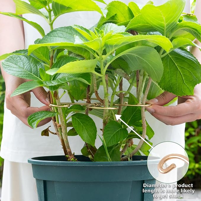 Goooxim 5PCS 7.5 Inch Monstera Plant Stem Support Hook - Premium Metal Structure for Indoor Plants, Durable and Elegant Stem Holder with Soft Touch Clips for Stable Growth