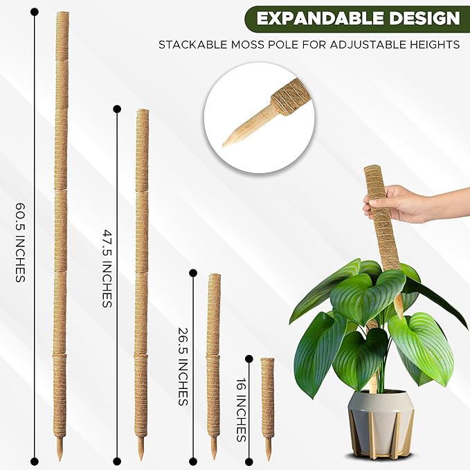 EcoNour 60.5" (4 Pcs - 16" & 2 Pcs - 12") Stackable Moss Pole for Monstera Plant Support | Moss Pole Sticks for Indoor Plants | Supports for Garden Climbing Plant Stakes, Creepers with Tie Accessory