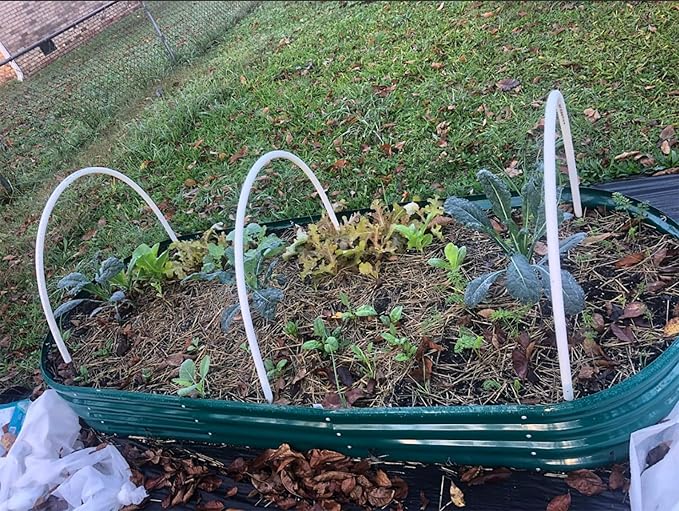 2 Pack 8x3x1FT Galvanized Raised Garden Bed Large Metal Planter Box Kit Elevated Raised Garden Planters for Outdoor Plants, Green