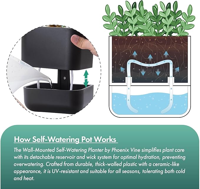 Phoenix Vine 6.5-Inch Wall Mounted Self-Watering Planter Pot for Indoor Houseplants and Herbs | Modern Hanging Planter for Window Sills, Bathroom Walls, Home & Office Décor, Black, Set of 2, 01-WP-B-2