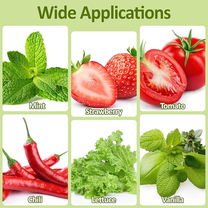 MAQIHAN 50 Grow Sponges for Hydroponics - Seed Pods for Garden Seed Starter Pods Growing System Plant for Seed Plugs Garden Cube Sponges Replacement