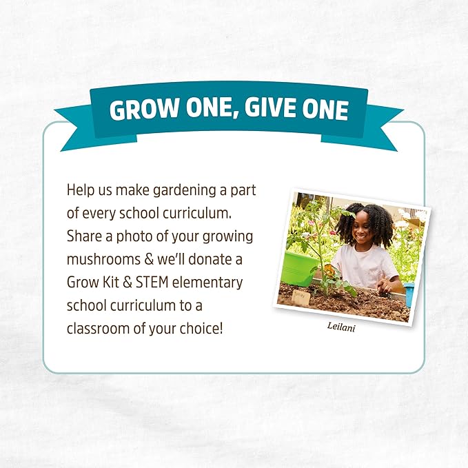 Back to The Roots Organic Pink Miniature Mushroom Grow Kit, Harvest Gourmet Mushrooms in 10 Days