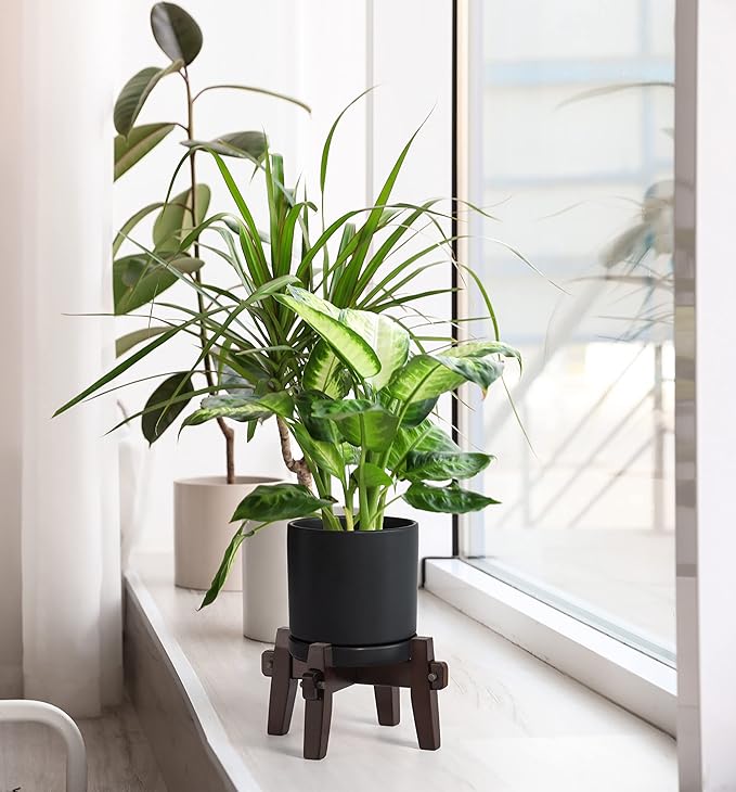 D'vine Dev Ceramic Planter with Wood Stand - 6 Inch Mid Century Modern Cylinder Plant Pot Set for Indoor Plants & Flowers, Black, 55-A-Z-2