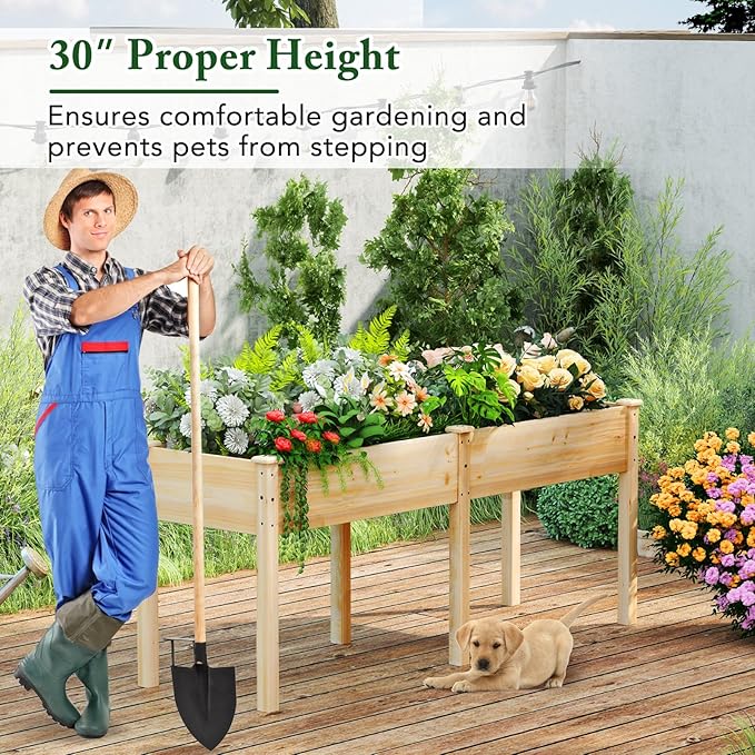 Raised Garden Bed with Legs, Elevated Planter Box with Divider & 8 Drainage Holes, Fir Wood Garden Box for Vegetables, Flowers, Fruits & Herbs (Natural)