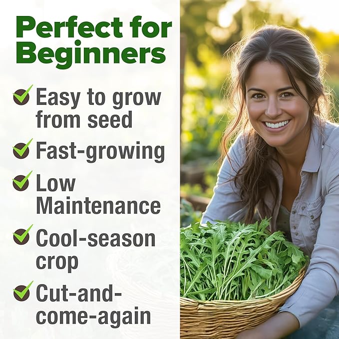 HOME GROWN Non GMO Arugula Roquette Seeds Pack 2,175 Heirloom Arugula Seeds for Planting Best for Outdoor Gardens,Providing Fast-Growing Greens for Salads - Eruca vesicaria