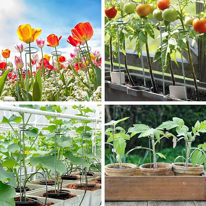 Thealyn 36 Inch 12 Packs Plant Support Stakes,Garden Single stemmed Plant Support Hoops, Plant Prop, for Flowers,Orchid, Tomatoes Peony Lily Rose (36 inch)
