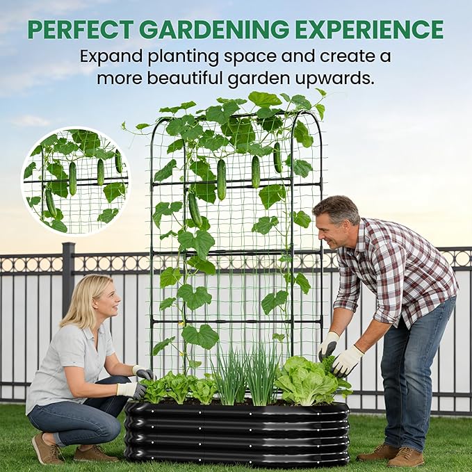 SUNYRISY 2Pack Galvanized Raised Garden Bed with 71in Arch Trellis for Climbing Plants, Outdoor Planter Box with Climbing Net for Gardening Flowers Vegetables Fruits Herbs, Black