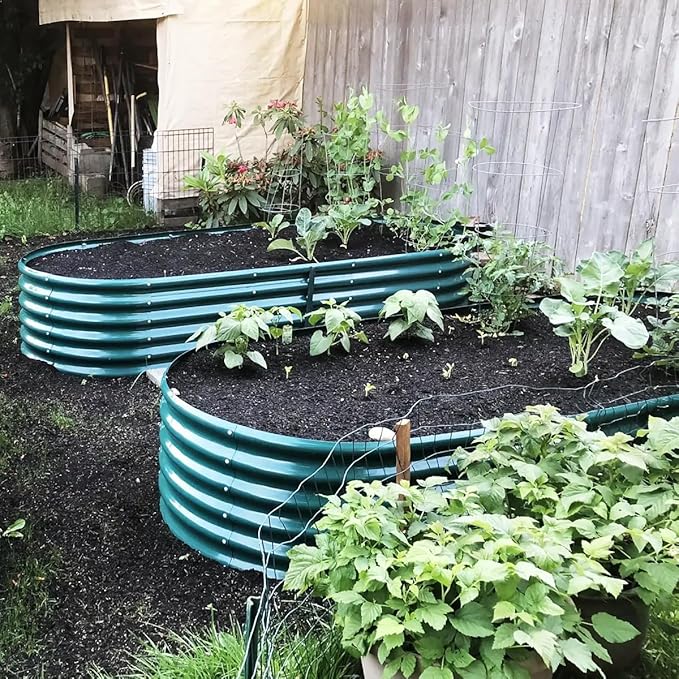 2 Packs 8x3x1.5FT Galvanized Raised Garden Bed Kit Oval Metal Ground Planter Box Outdoor Bottomless Planter Raised Beds for Vegetables Flowers Herbs Fruits, Green