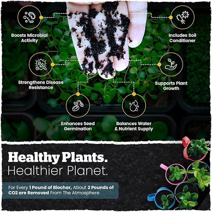 Wakefield Premium Organic Biochar Soil Amendment & Soil Conditioner – Certified Carbon-Negative Nutrient-Locking, Water-Efficient Bio Char for Plants & Lawns - Soil Amendments for Lawn - 2 Quart
