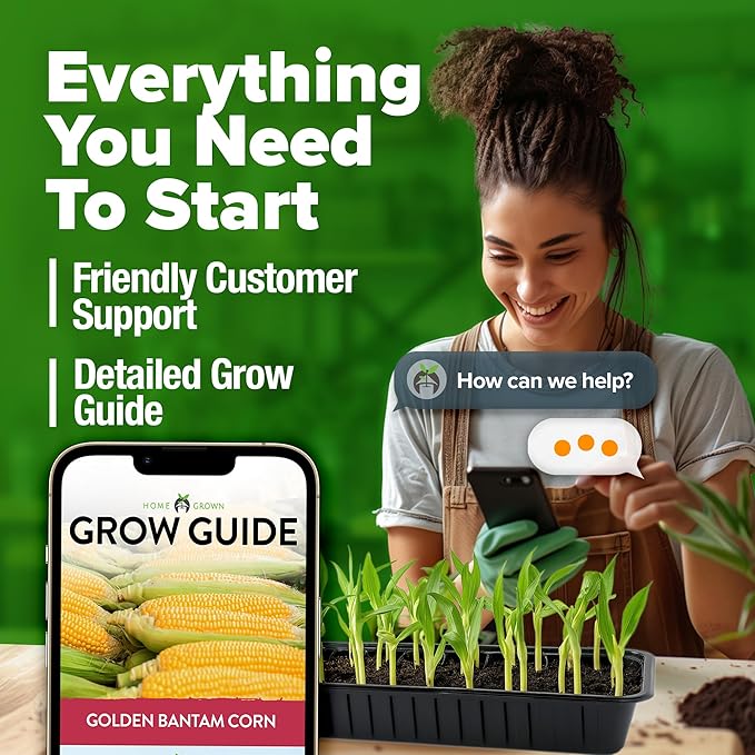 HOME GROWN Non GMO Golden Bantam Corn 1 Pack 100 Heirloom Vegetable Seeds Grow Sweet Corn Outdoors Easy for Beginners & Great for Home Gardeners High Germination (Zea mays)