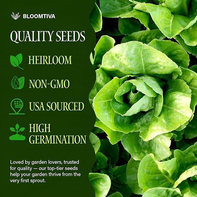 Romaine Lettuce Seeds – Parris Island Cos, 8000+ Heirloom Non-GMO Seeds, High Germination Bulk Pack, Grown in USA – Ideal for Indoor Hydroponic & Outdoor Vegetable Gardens