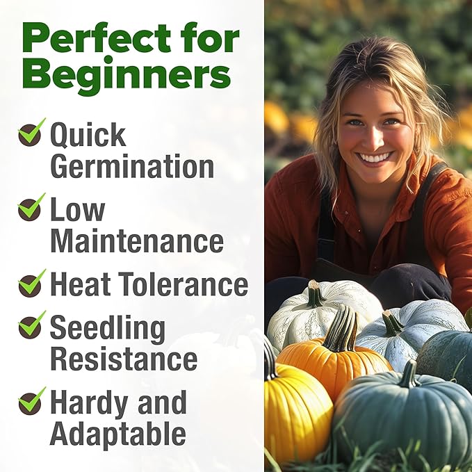 HOME GROWN Non GMO 5 Pumpkin Seeds Mix - 40 Seeds Heirloom Pumpkin for Planting Ideal Garden for Unique Varieties Yellow Paris and Casper, Culinary and Decorative Use