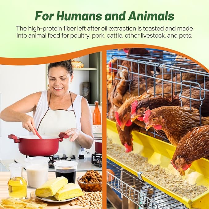 Outsidepride Soybean Seeds - 25 lbs High-Protein & High Yield Heirloom Variety Soy Beans, Ideal for Oil Processing, Forage, Animal Food Plots, & Wildlife Feed for Poultry & Other Farm Animals