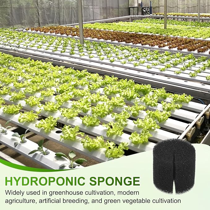 50-Pack Hydroponics Sponges, 1.26 Inch Growing Media Cylindrical Sponges for Planting Gardening Tool/Grow Seedlings/Home Vegetable Flower, Soilless Cultivation Seedling [Black]