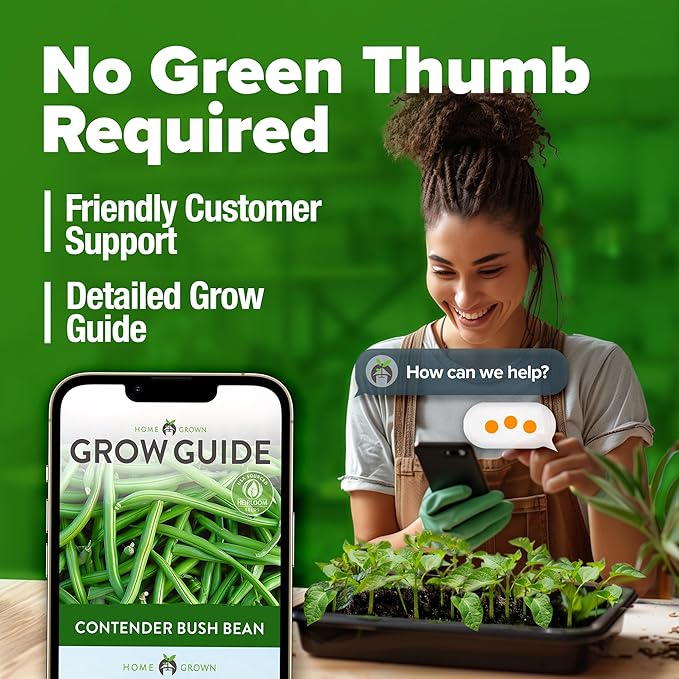HOME GROWN Non GMO Contender Bush Bean Pack - 28 Heirloom Green Beans, Vegetable Seeds for Planting, Emergency Food Supply (Phaseolus vulgaris)