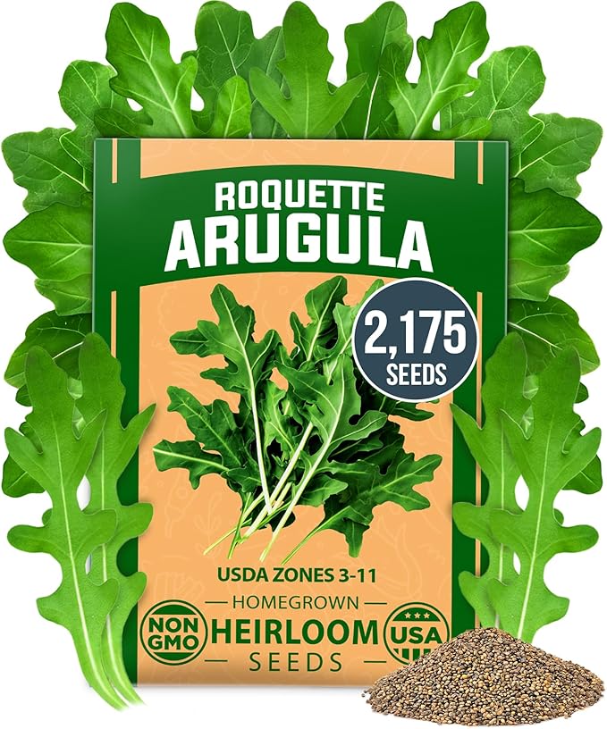 HOME GROWN Non GMO Arugula Roquette Seeds Pack 2,175 Heirloom Arugula Seeds for Planting Best for Outdoor Gardens,Providing Fast-Growing Greens for Salads - Eruca vesicaria
