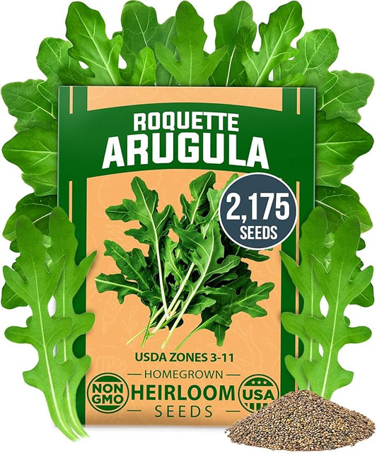 HOME GROWN Non GMO Arugula Roquette Seeds Pack 2,175 Heirloom Arugula Seeds for Planting Best for Outdoor Gardens,Providing Fast-Growing Greens for Salads - Eruca vesicaria
