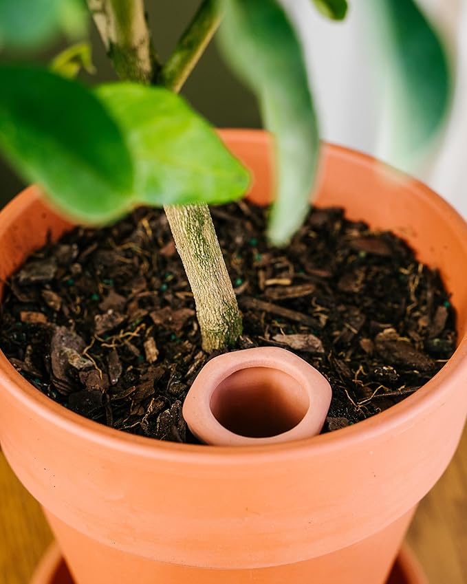 Oasis 6-Pack Terracotta Watering Spikes - Slow Release Self Watering Stakes, Plant Watering Devices for Wine Bottles, Container, Small Tree and Houseplant - Perfect for Busy Plant Parents