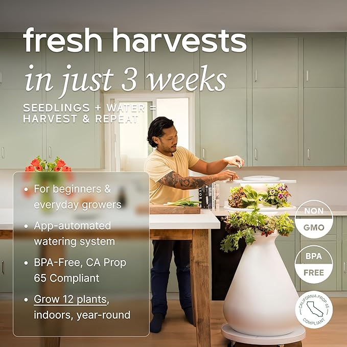 Farmstand Starter Kit with Glow Rings and 12 Seedling Credits | Tiny Hydroponic Growing System Kit | Vertical Garden Planter Tower | 3ft 8in Tall