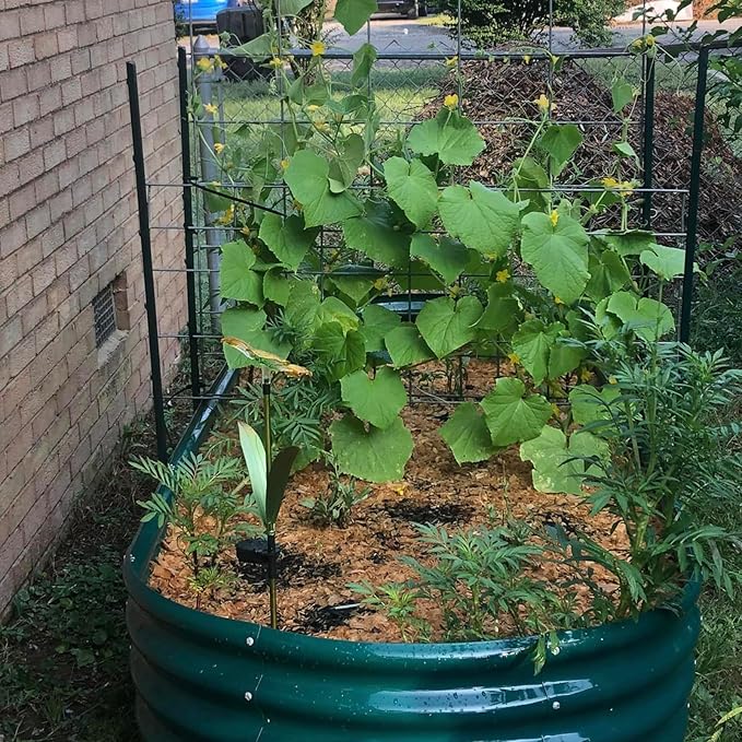 2 Pack 8x3x1FT Galvanized Raised Garden Bed Large Metal Planter Box Kit Elevated Raised Garden Planters for Outdoor Plants, Green