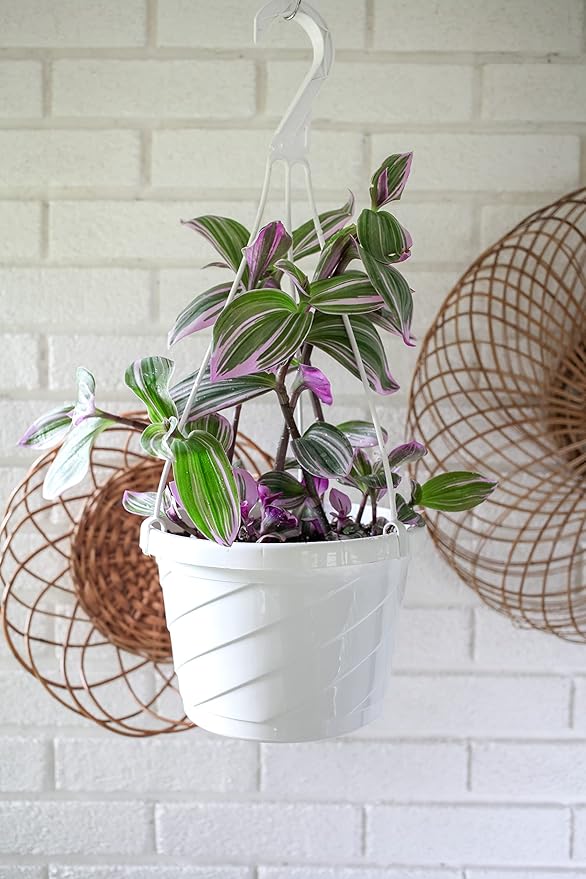 The HC Companies Euro Hanging Basket Planter Decorative 12-Inch Large Plastic Hanging Basket w/Swirl Design for Outdoor Plants, Clay (Pack of 2)
