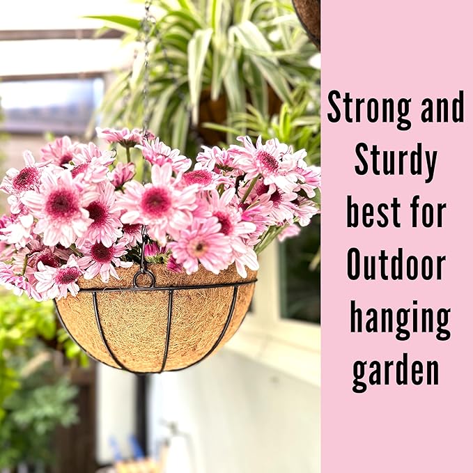 LaLaGreen Hanging Baskets for Plant Outdoor (2 Pack, 16 Inch) Extra Large Black Metal Wire Hanging Planter with Coco Liner Round Flower Pot Holder Hanger Deck Porch Modern Garden Balcony Country Decor