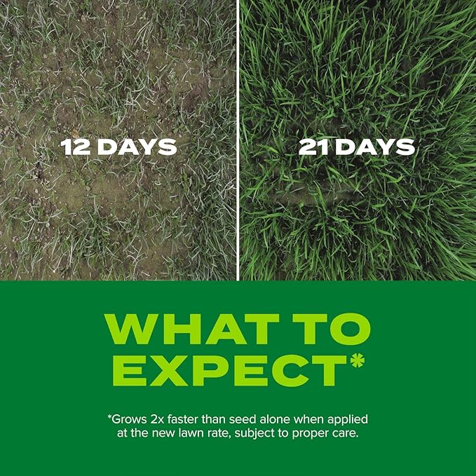 Scotts Turf Builder Rapid Grass Sun and Shade Mix, Combination Grass Seed and Fertilizer, Grows Green Grass in Just Weeks, 16 lbs.