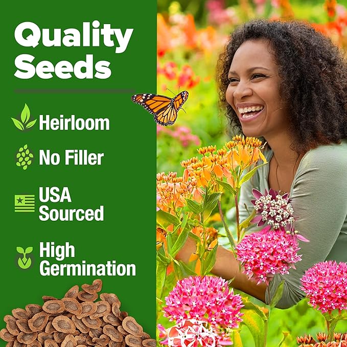 HOME GROWN Milkweed Flower Seeds - 500+ Heirloom Perennial Wildflower Seeds (5 Individual Varieties) Supports Monarch Habitat, Grows in Zones 310 (Asclepias syriaca)