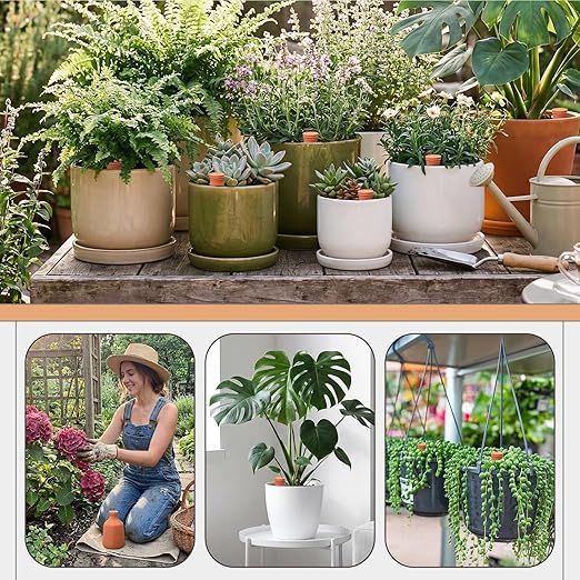 1 Pcs 50 oz Ollas Terracotta Watering Pots Self Watering Planter Insert Terracotta Globes Clay for Outdoor Indoor Garden Plants, Easy to Refill