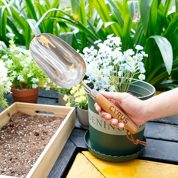 CYRUS Garden Shovel 13" Stainless Steel,Soil Scoop for Indoor Plants,Small Hand Shovels for Gardening,Garden Spade for Plant Transplanting, Digging and Weeding