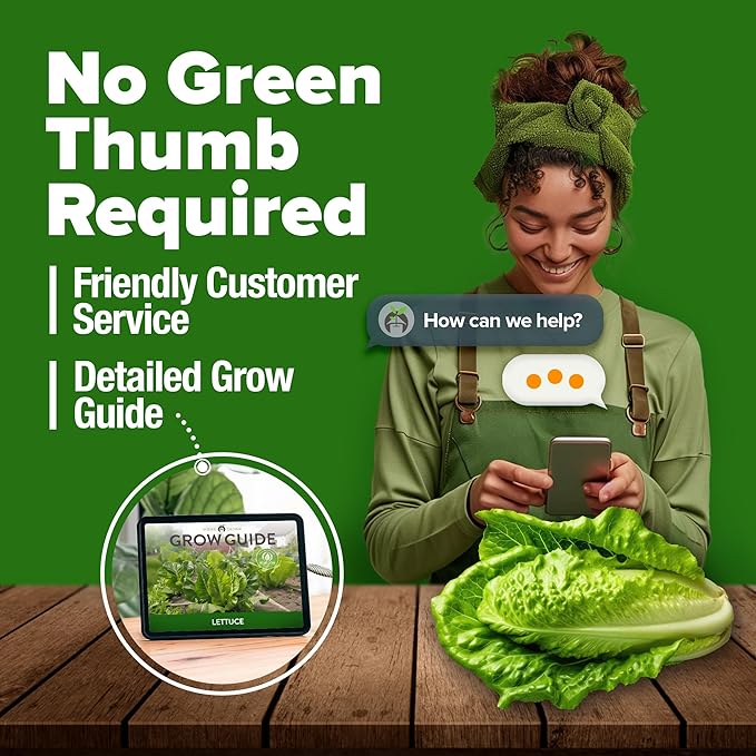 HOME GROWN Non GMO Parris Island Romaine Lettuce 3,500+ High Germination Heirloom Lettuce for Planting Crisp Heads for Garden & Hydroponics, Indoor Outdoor (Lactuca Sativa)