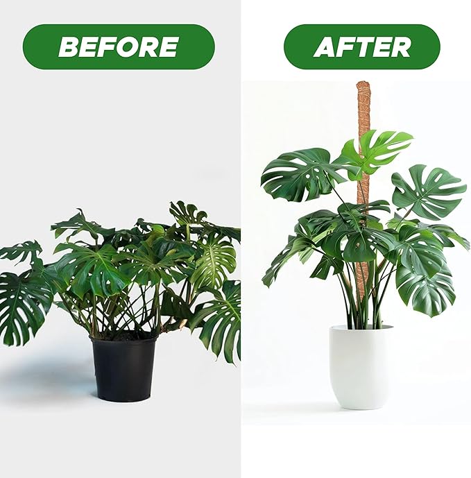 EcoNour Tall Moss Pole for Plants (1-Pack) 48-Inch | Large Monstera Plant Support for Climbing and Growth | Elevate Your Indoor Garden | Tall Plant Support for Indoor Potted Plants to Grow Upwards