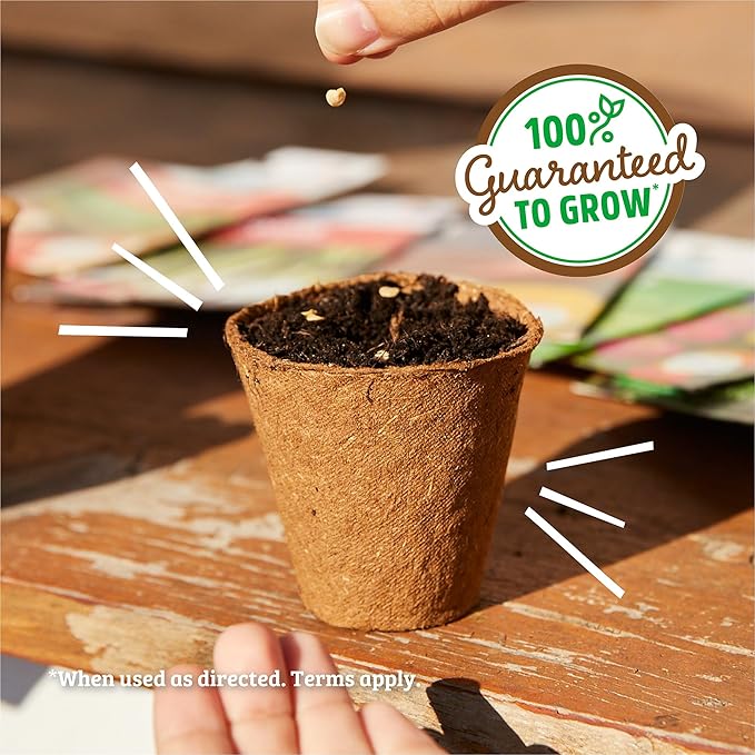 Back to The Roots Organic Herb Seeds Variety (5-Pack)