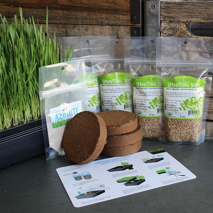 Organic Wheatgrass Growing Starter Kit - Grow & Juice Wheat Grass - Includes Non-GMO, Organic Wheatgrass Seeds - for Healthy Wheatgrass Shots, Home, Garden, and Cat Grass