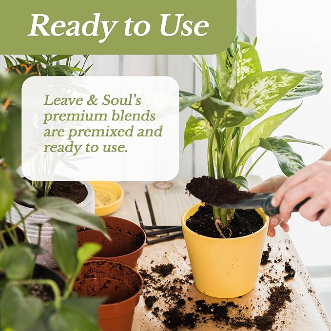 Large Bag Houseplant Fiddle Leaf Fig Soil Premium All Purpose Blend | Ready to Use for Indoor Houseplants | Peat, Sawdust, Course Sand and Pinebark | Extra Large 8.2 Quarts | Made in USA